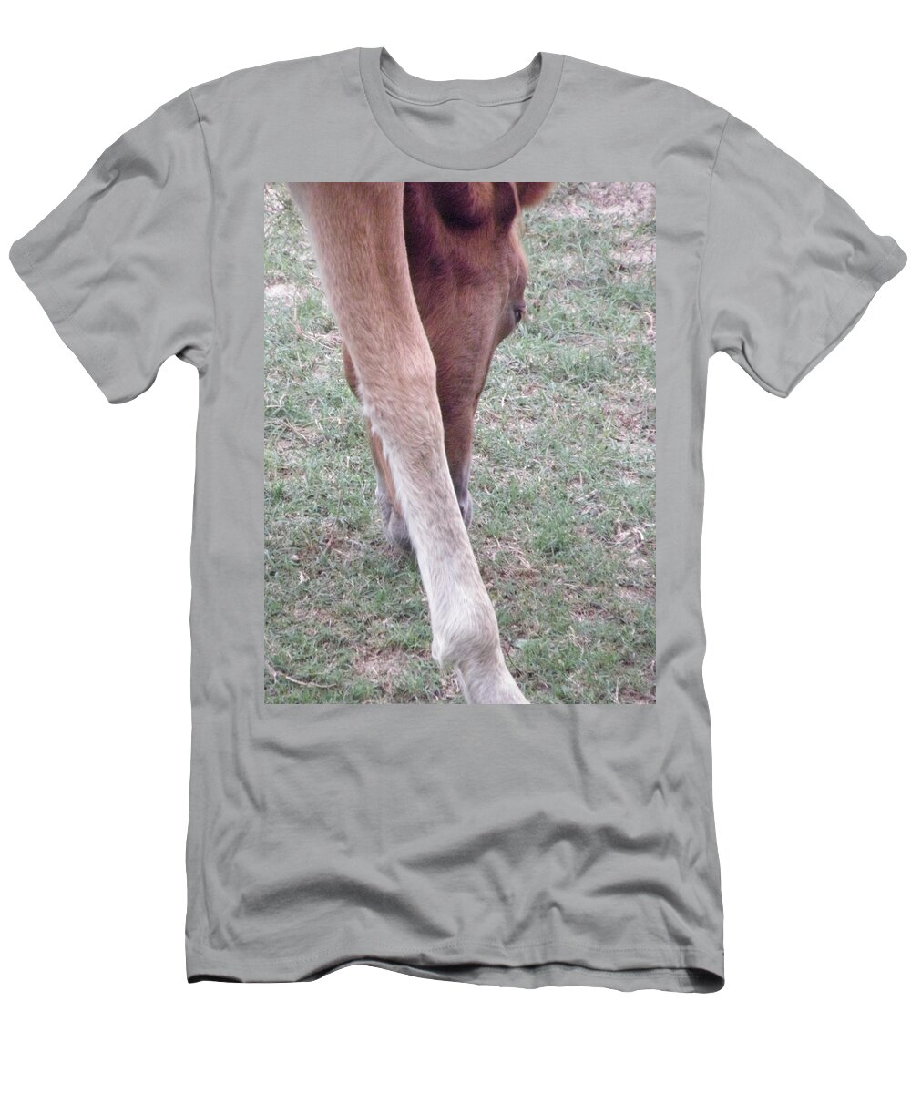 Wild T-Shirt featuring the photograph Wild Spanish Mustang Foal of the Outer Banks of North Carolina #2 by Kim Galluzzo