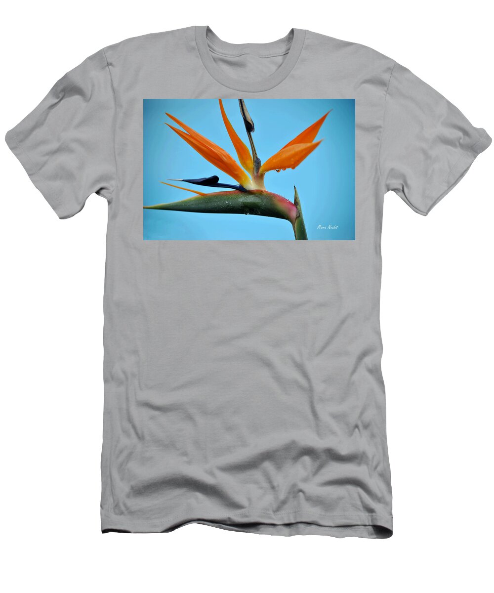 Rain Drops T-Shirt featuring the photograph A bird by the pool by Maria Nesbit