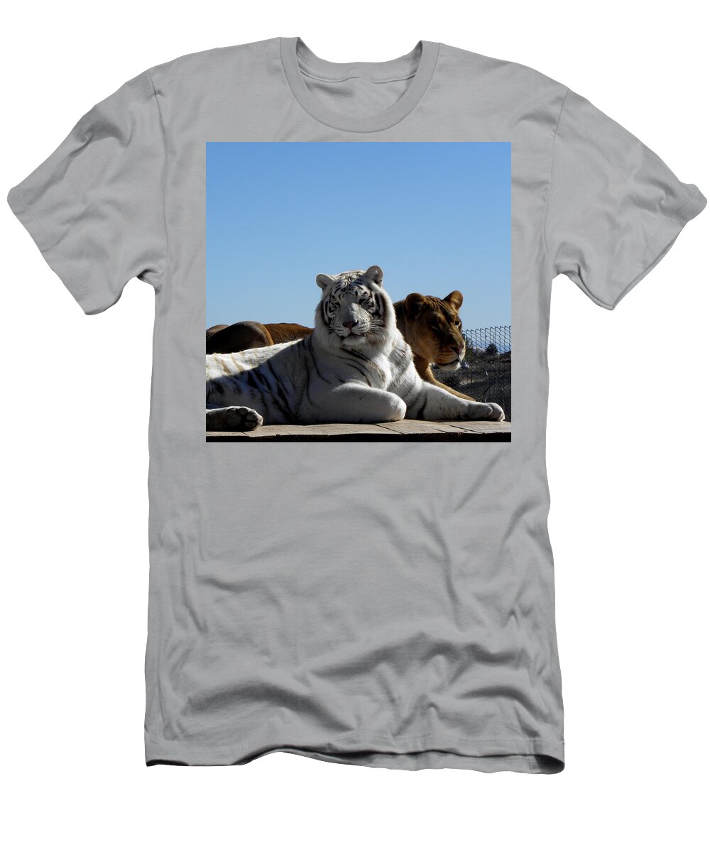 White T-Shirt featuring the photograph Afternoon rest by Kim Galluzzo Wozniak