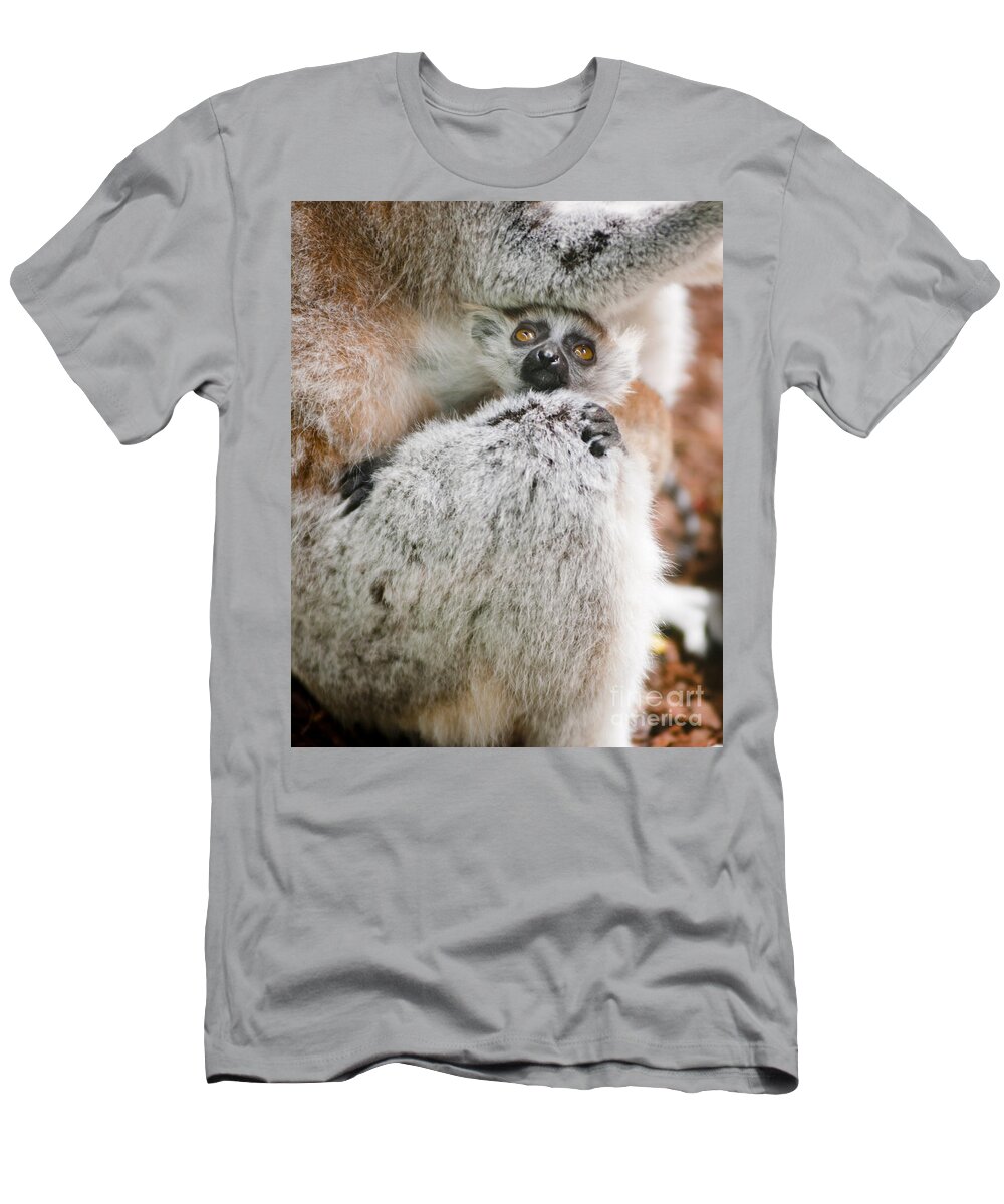 Animal T-Shirt featuring the photograph Baby Lemur by Andrew Michael