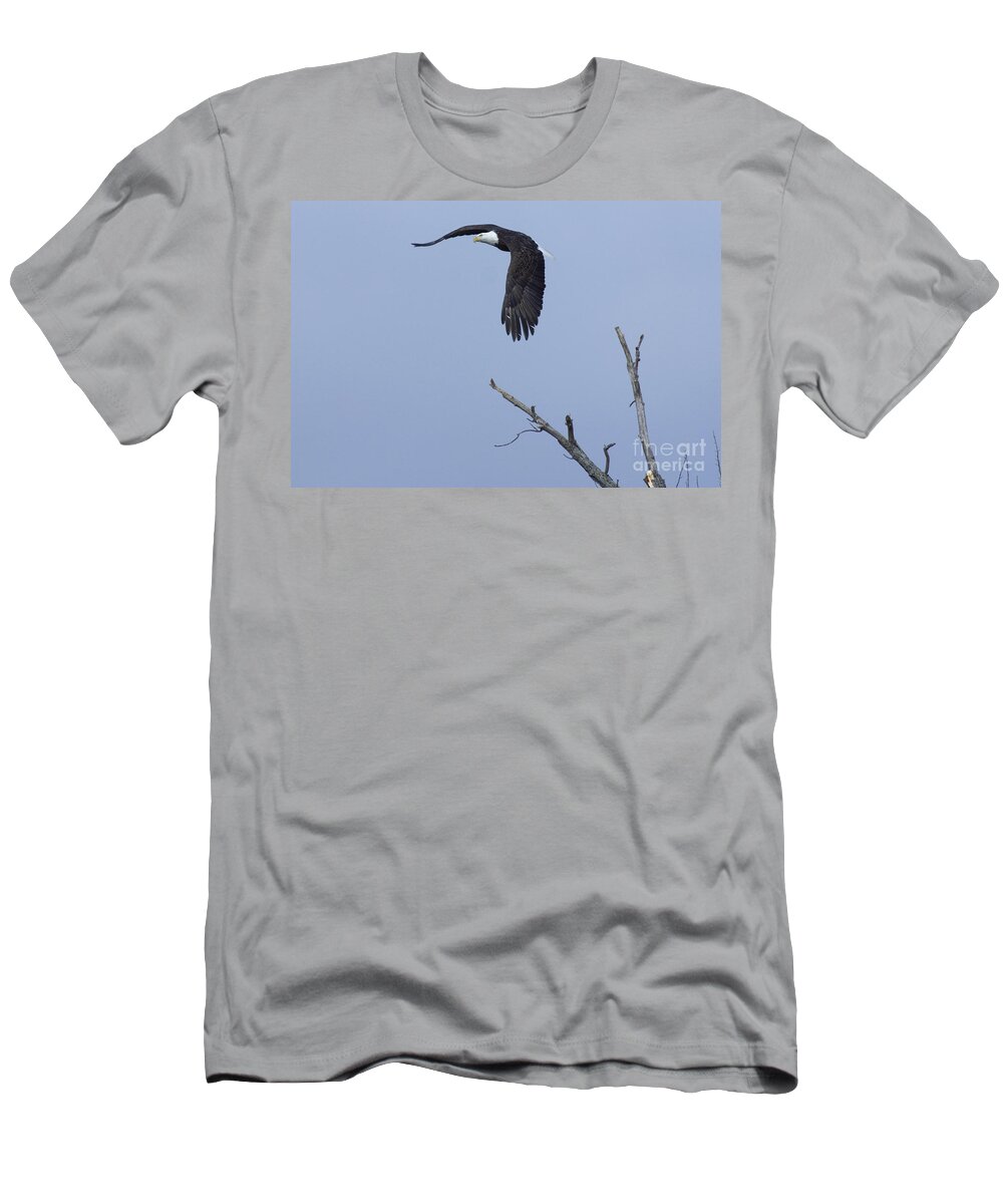 Animals T-Shirt featuring the photograph Bald Eagle in Flight by Alan Look