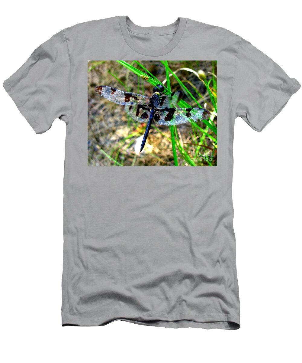 Insect T-Shirt featuring the photograph Banded Pennant Dragonfly by Donna Brown