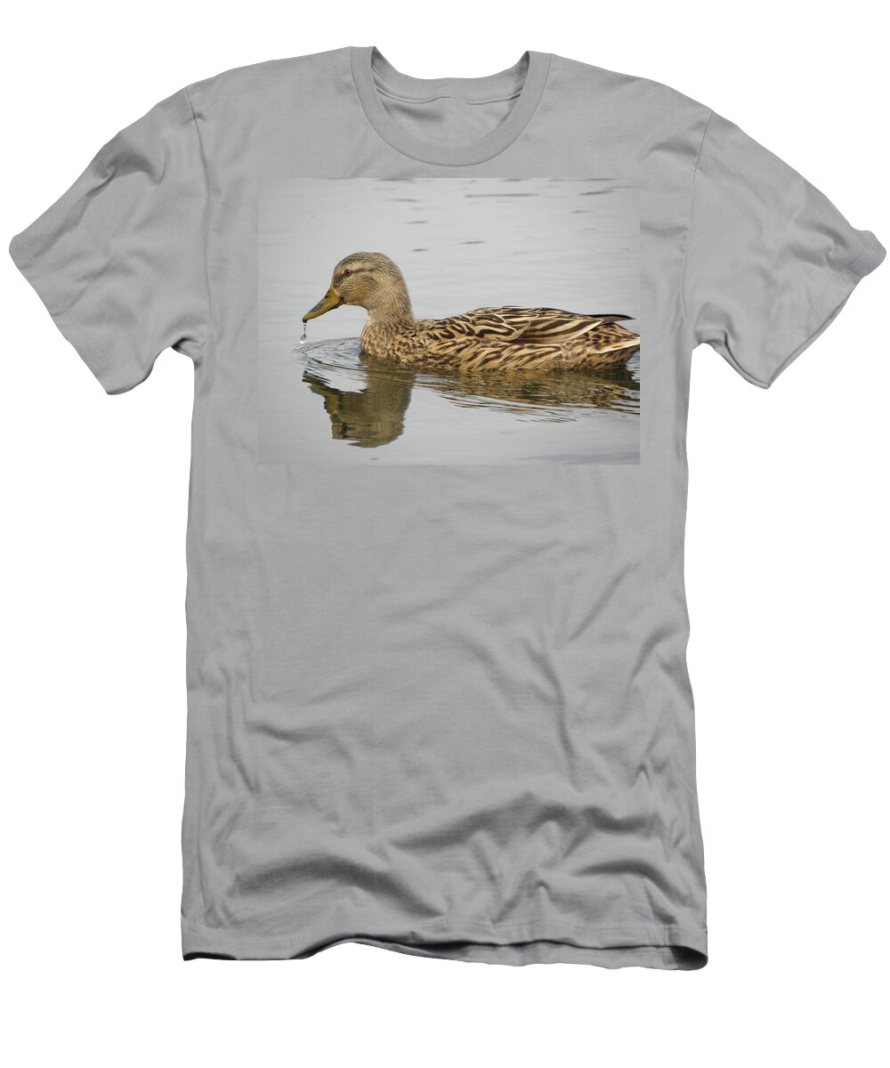 Mallard T-Shirt featuring the photograph Beak Drip by Kim Galluzzo Wozniak