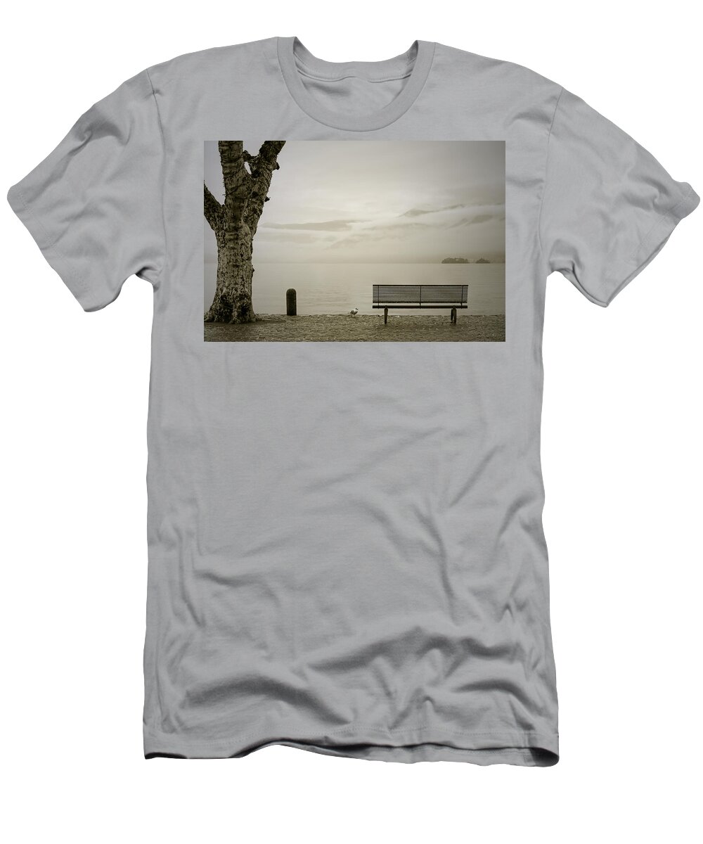 Bench T-Shirt featuring the photograph Bench Under Plane Trees by Joana Kruse