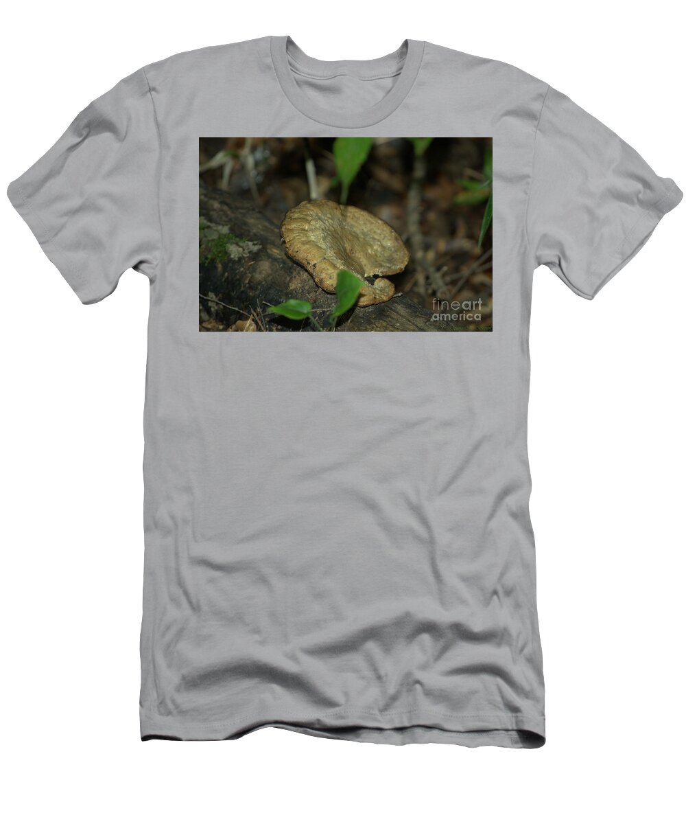 Mushroom T-Shirt featuring the photograph Big Old Mushroom by Donna Brown