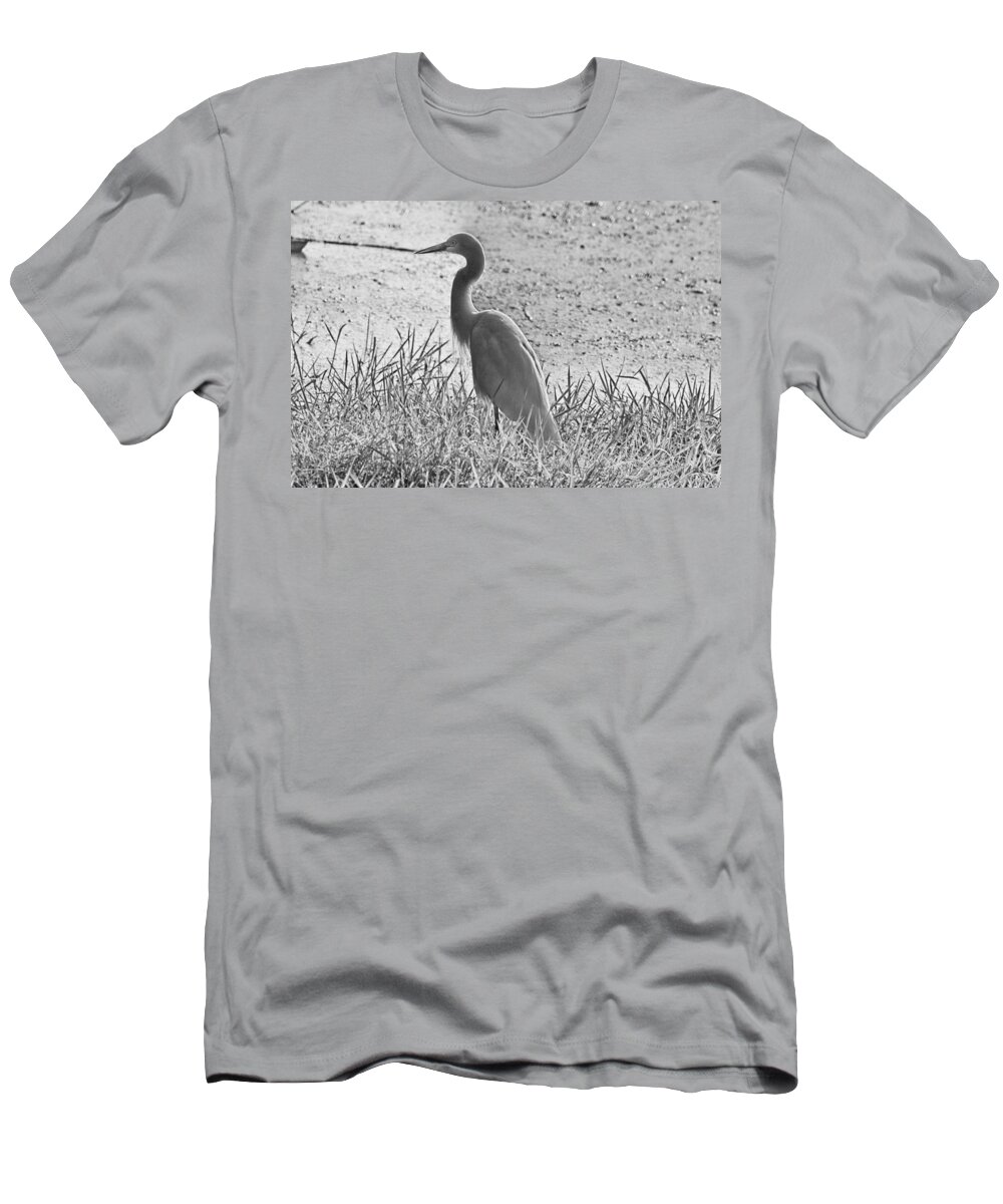 Black And White T-Shirt featuring the photograph Black and White Egret by Douglas Barnard