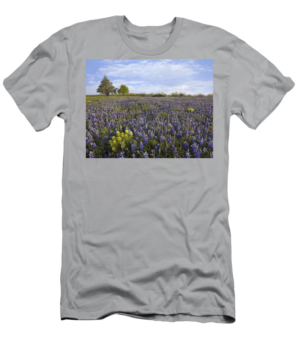 00442669 T-Shirt featuring the photograph Bluebonnet And Lemon Paintbrush by Tim Fitzharris
