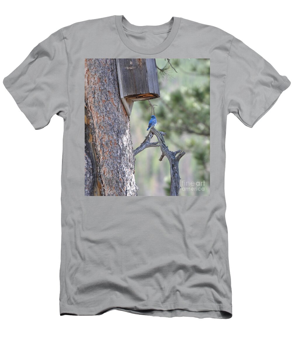 Bird T-Shirt featuring the photograph Boy Blue by Dorrene BrownButterfield