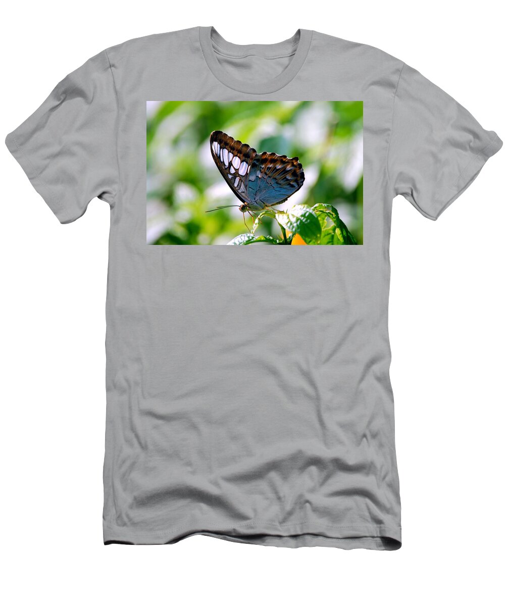 Butterfly T-Shirt featuring the photograph Bright Blue Butterfly by Peggy Franz