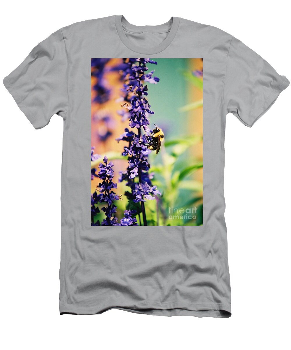 Bees T-Shirt featuring the photograph Bumble Bee by Randy Harris
