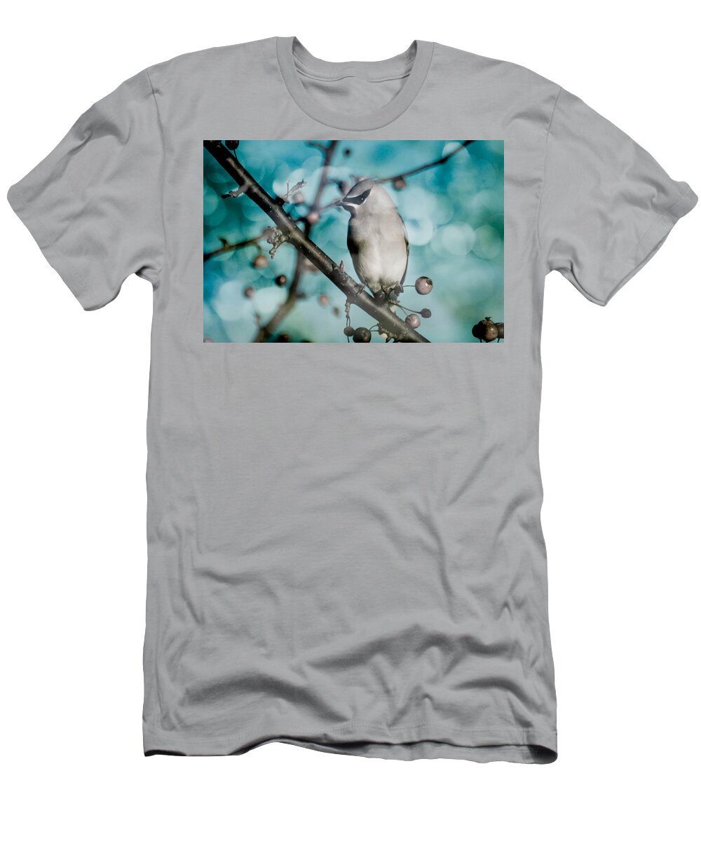 Bird T-Shirt featuring the photograph Catch The Bandit by Trish Tritz
