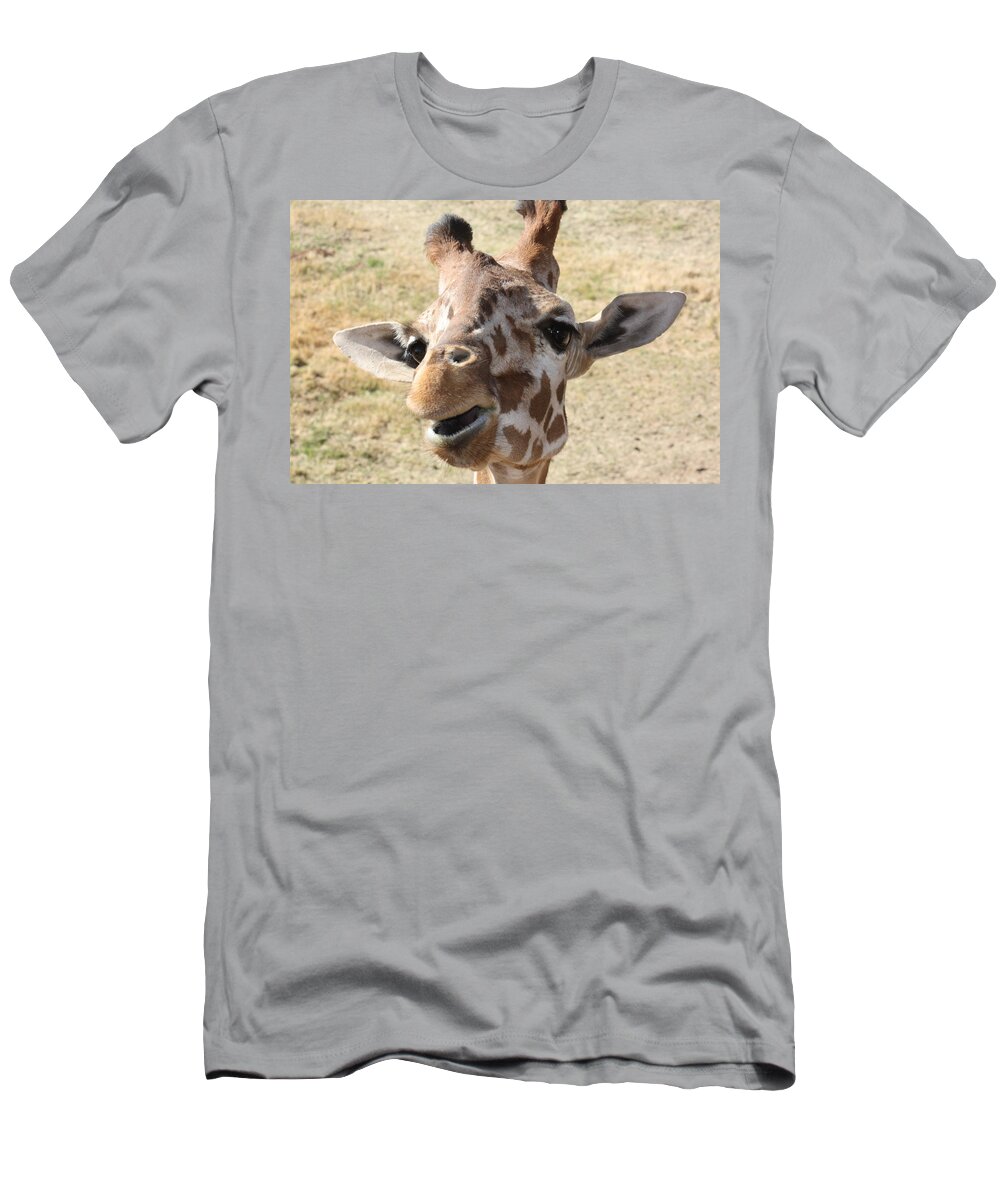 Giraffe T-Shirt featuring the photograph Chewing my treat by Kim Galluzzo Wozniak