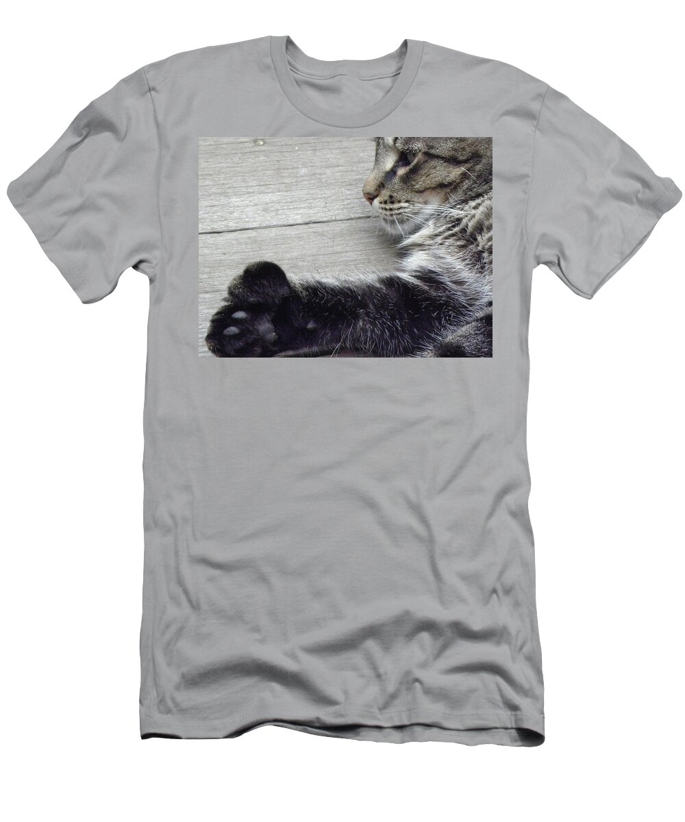 Cat T-Shirt featuring the photograph Chillin by Kim Galluzzo