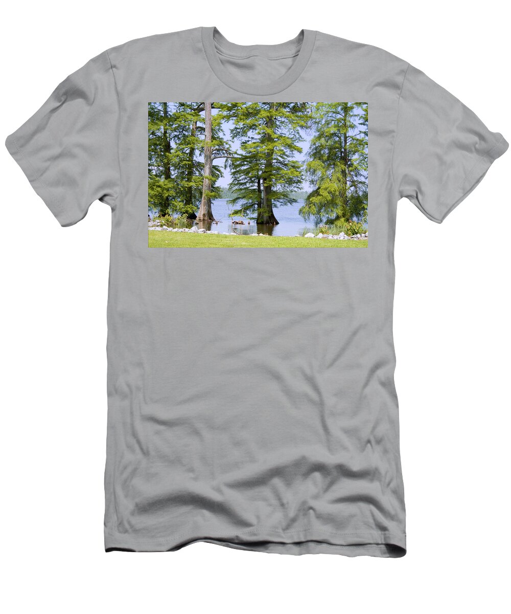Lake T-Shirt featuring the photograph Cypress Trees of Reelfoot Lake by Bonnie Willis
