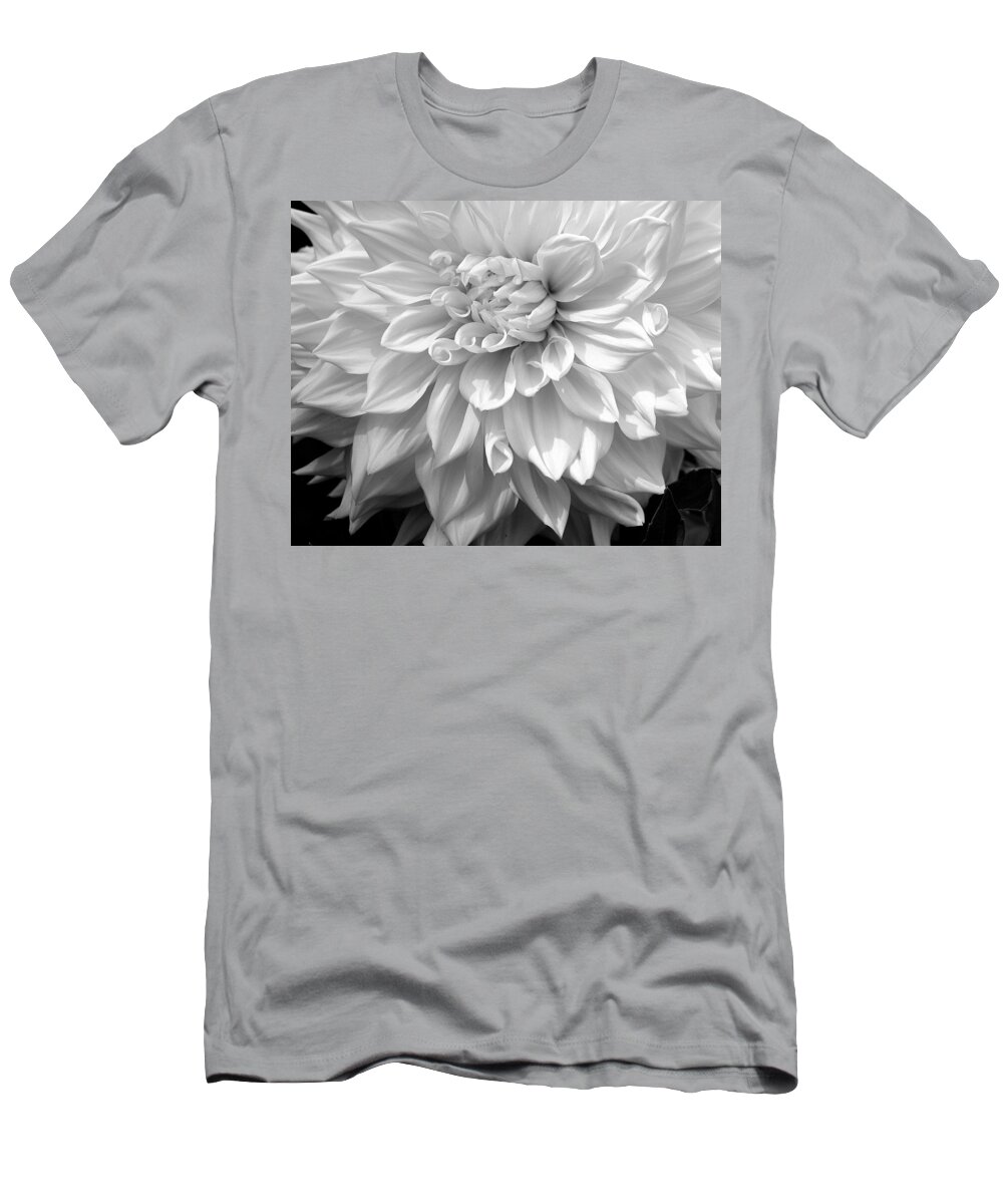 Dahlia T-Shirt featuring the photograph Dahlia in Black and White by Laurel Talabere