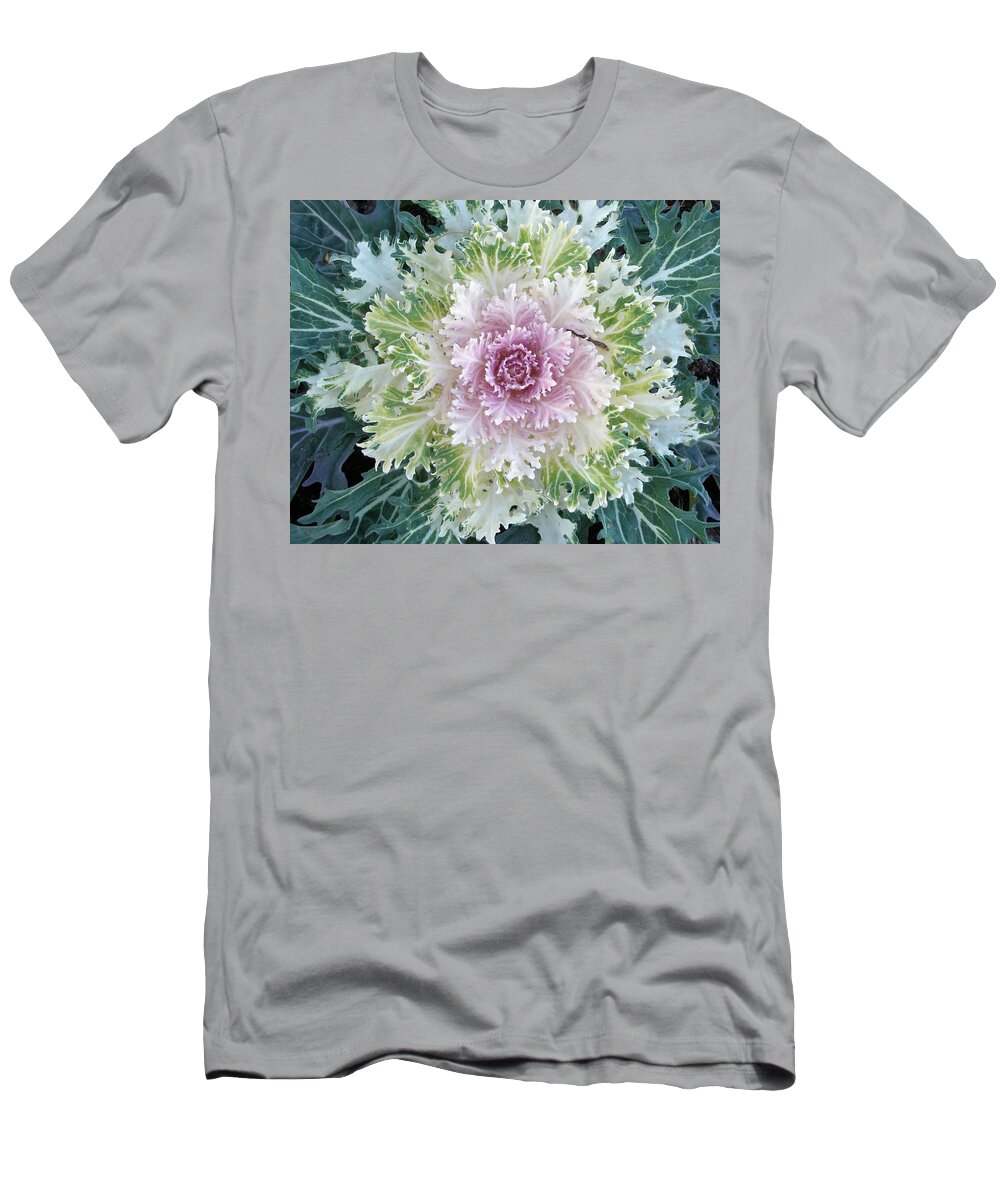 Kale T-Shirt featuring the photograph Decorative Kale - The Autumn Garden's Friend by Carol Senske