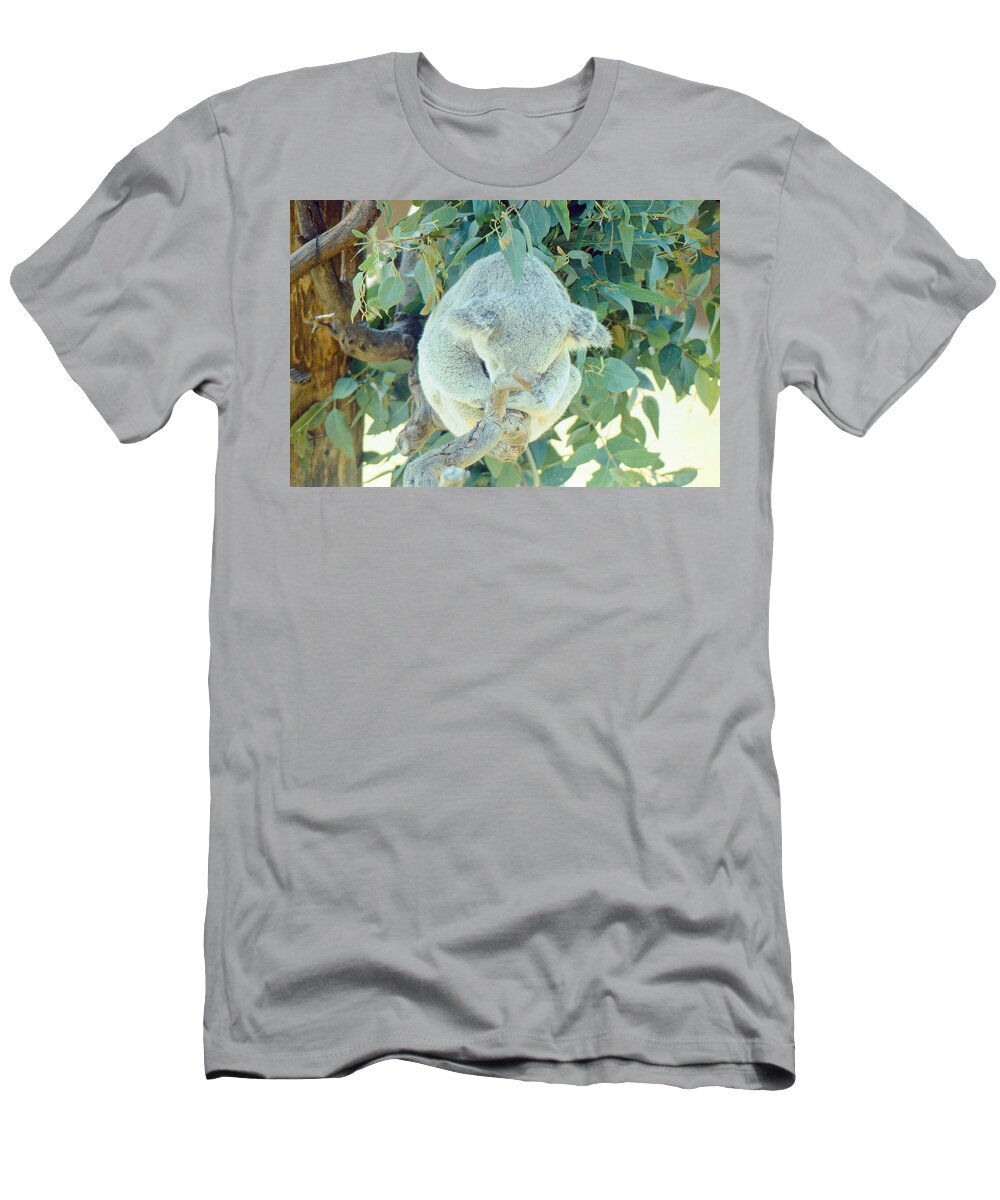Animal T-Shirt featuring the photograph Do not Disturb by Greg Plamp