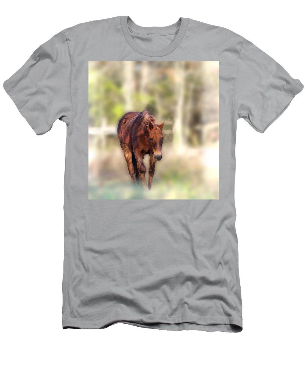 Horse T-Shirt featuring the photograph Dream Come True by Jenny Gandert