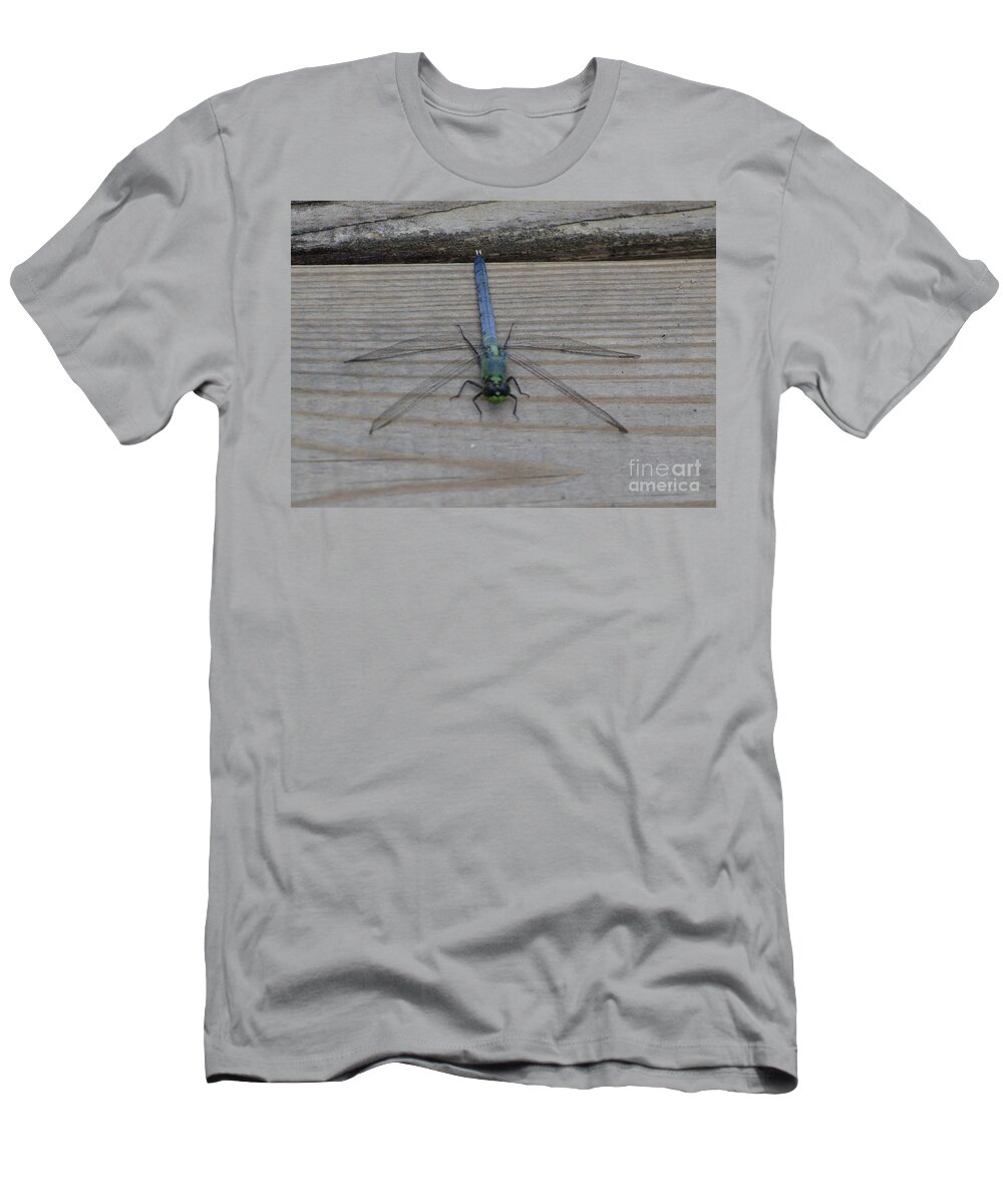 Insect T-Shirt featuring the photograph Eastern Pondhawk Dragonfly by Donna Brown
