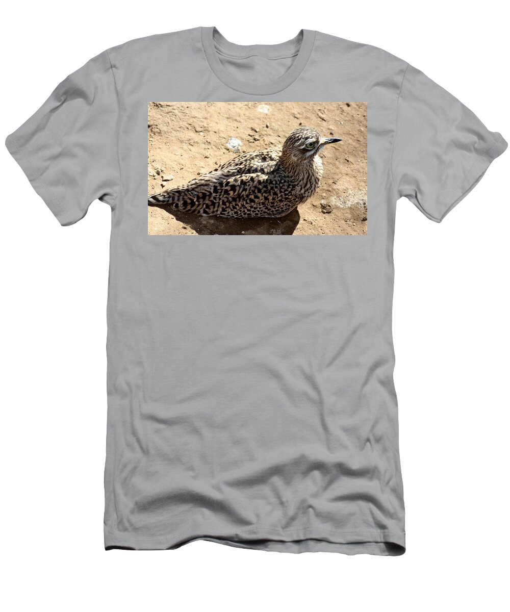 Bird T-Shirt featuring the photograph Exotic bird by Kim Galluzzo Wozniak