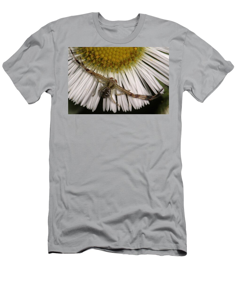 Nature T-Shirt featuring the photograph Flower Spider On Fleabane by Daniel Reed