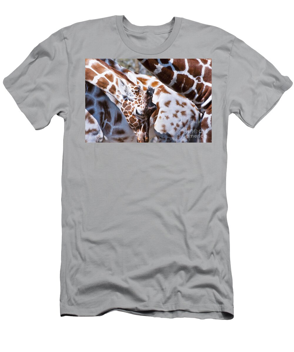 Africa T-Shirt featuring the photograph Giraffe Abstract by Andrew Michael