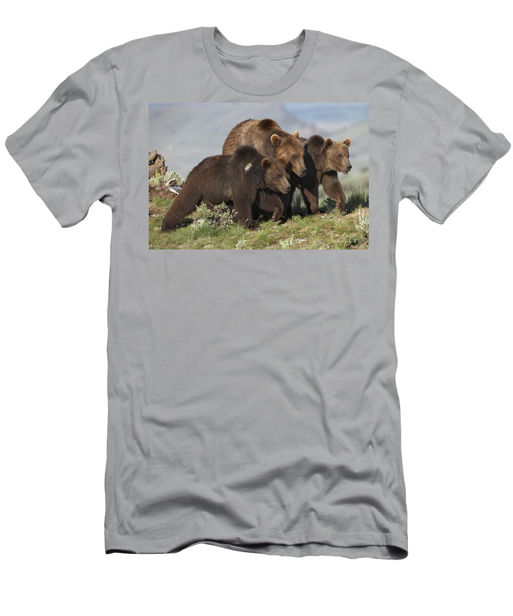 00176532 T-Shirt featuring the photograph Grizzly Bear Mother With Two One Year by Tim Fitzharris