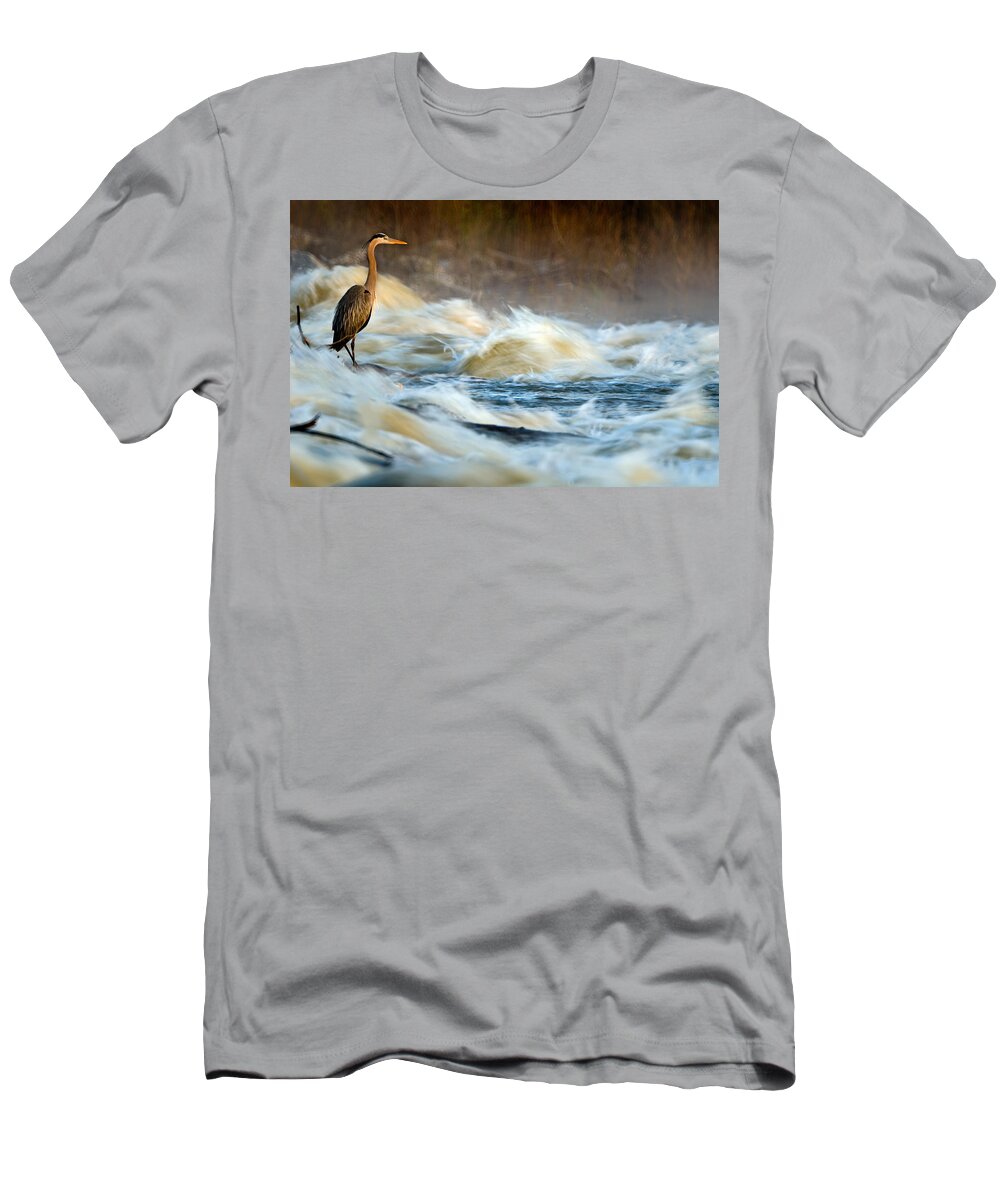 2007 T-Shirt featuring the photograph Heron in Centaur Shute by Robert Charity