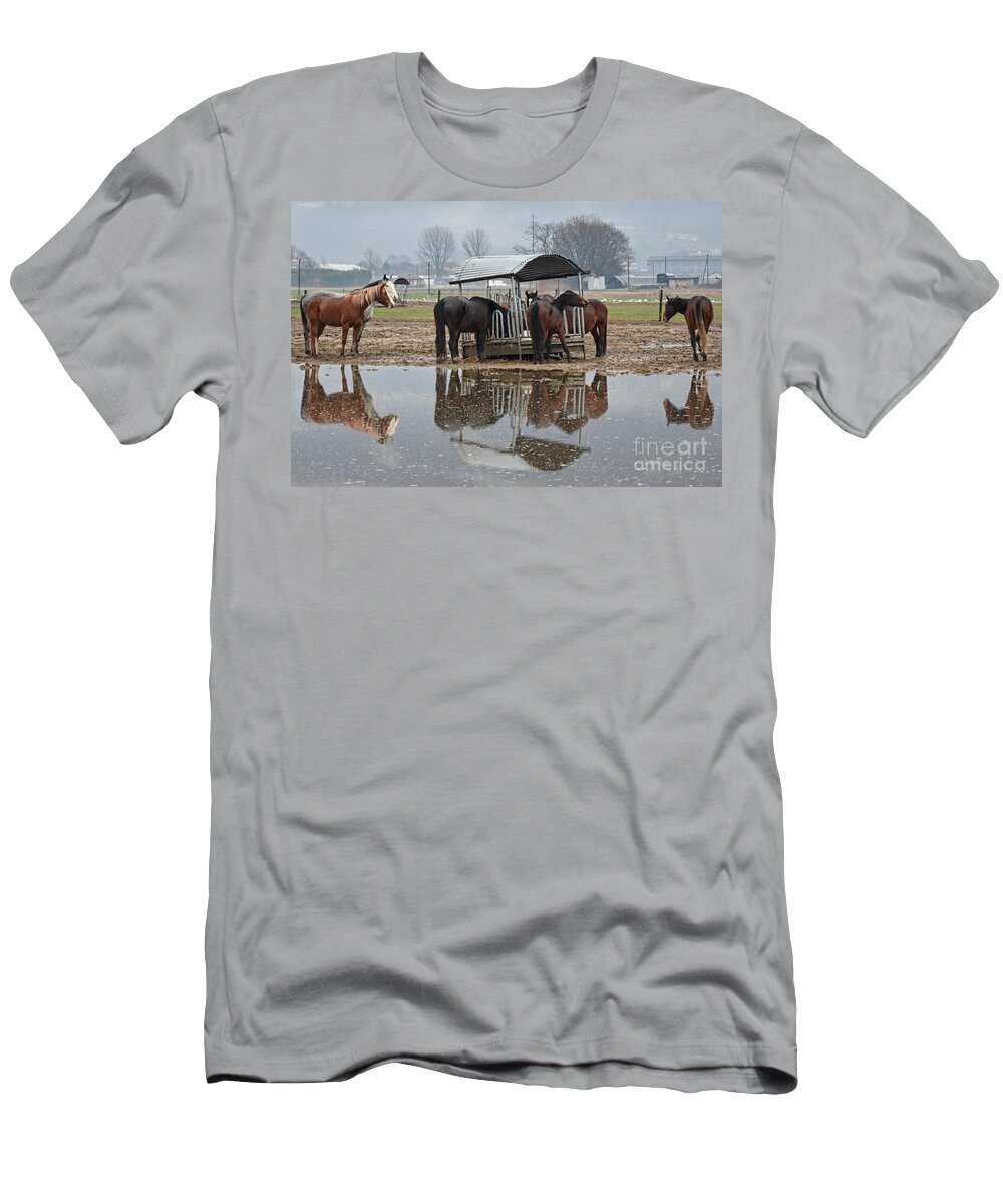 Horses T-Shirt featuring the photograph Horses by Mats Silvan