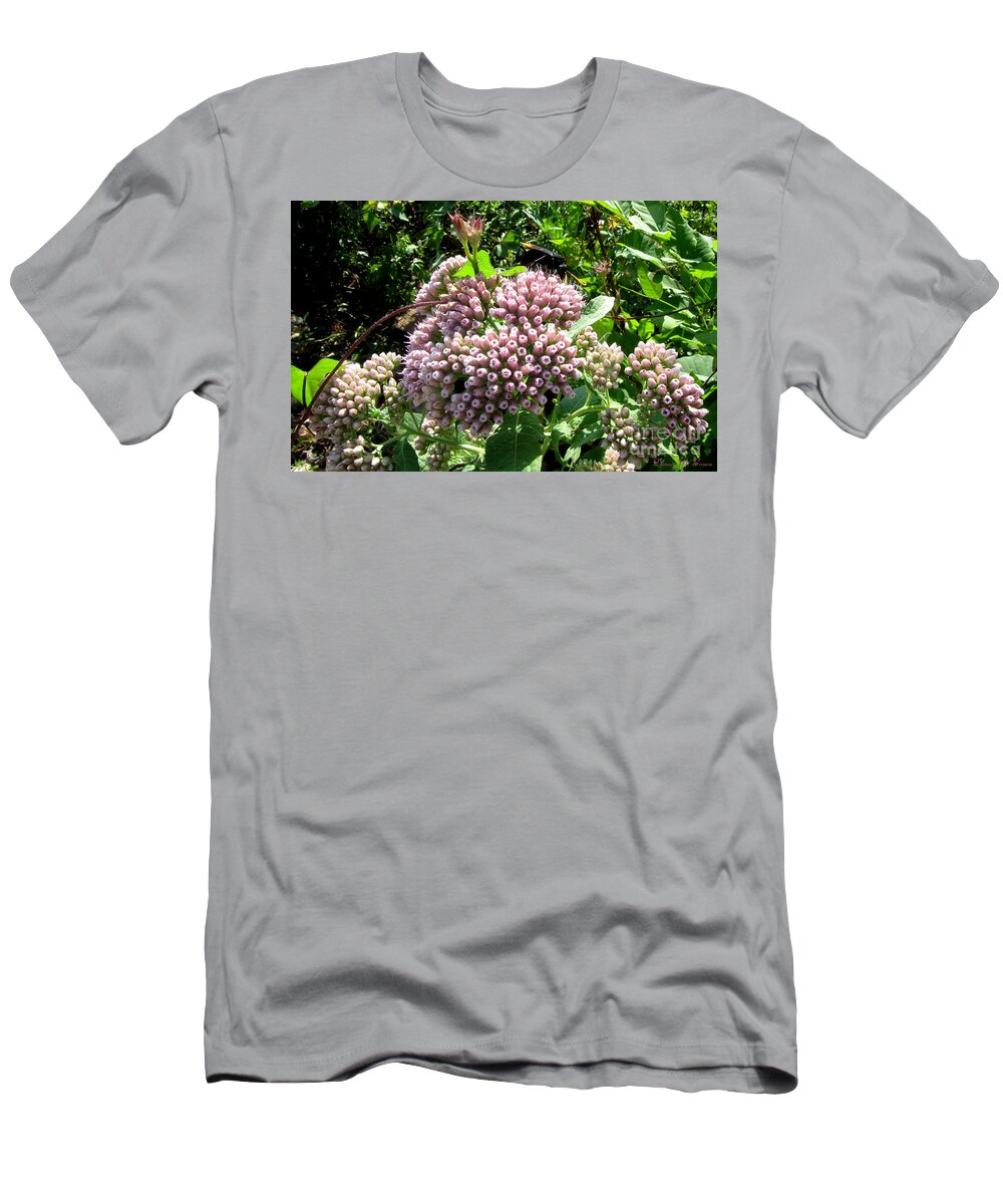 Insect T-Shirt featuring the photograph Huge Wasp by Donna Brown