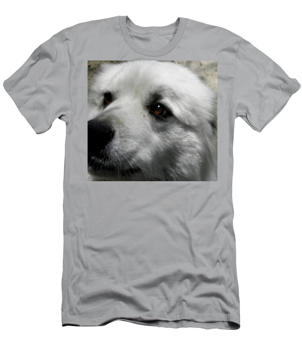 Great Pyrenees T-Shirt featuring the photograph Loving eyes and Face by Kim Galluzzo