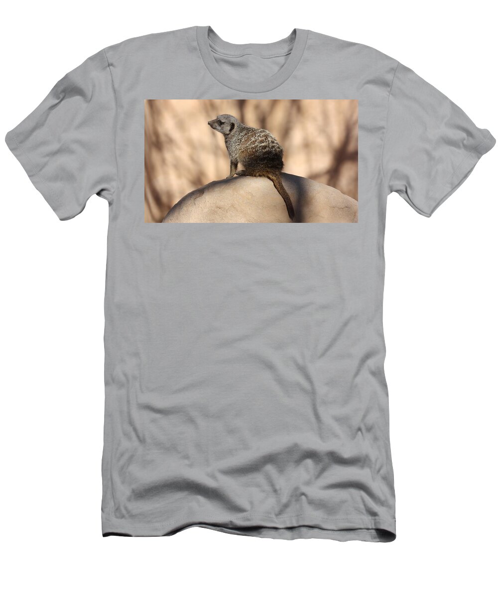 Meerkat T-Shirt featuring the photograph Meerkat Manor by Kim Galluzzo
