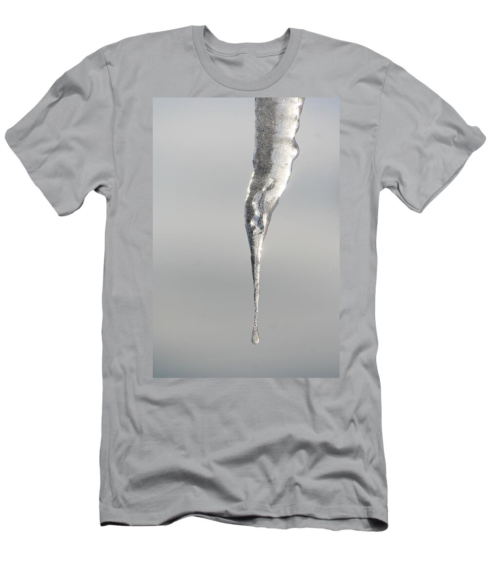 Ice T-Shirt featuring the photograph Misc 0032 by Carol Ann Thomas
