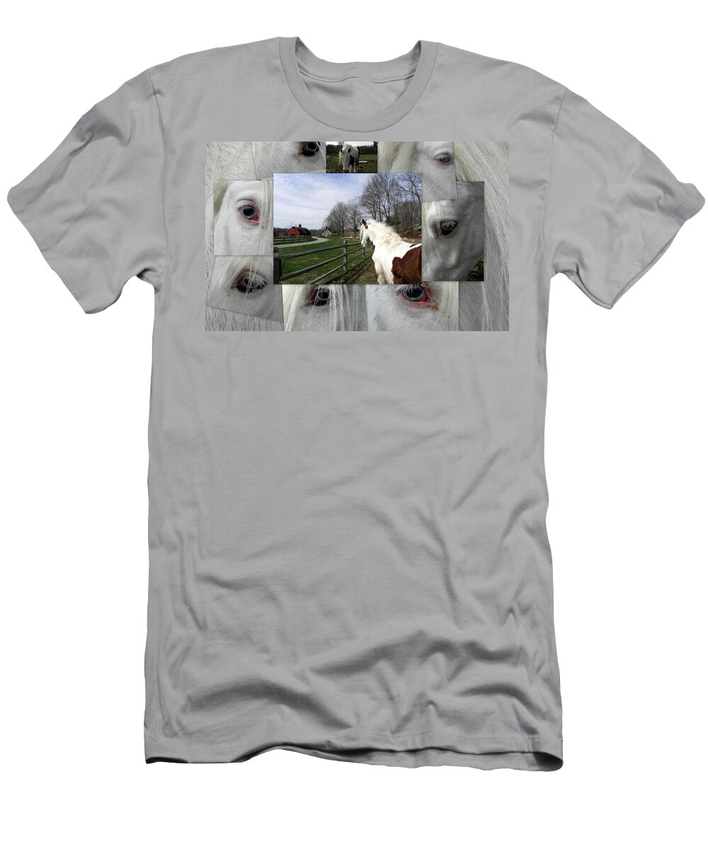 Gypsy Vanner T-Shirt featuring the photograph Miss Gypsy Dory Collage by Kim Galluzzo