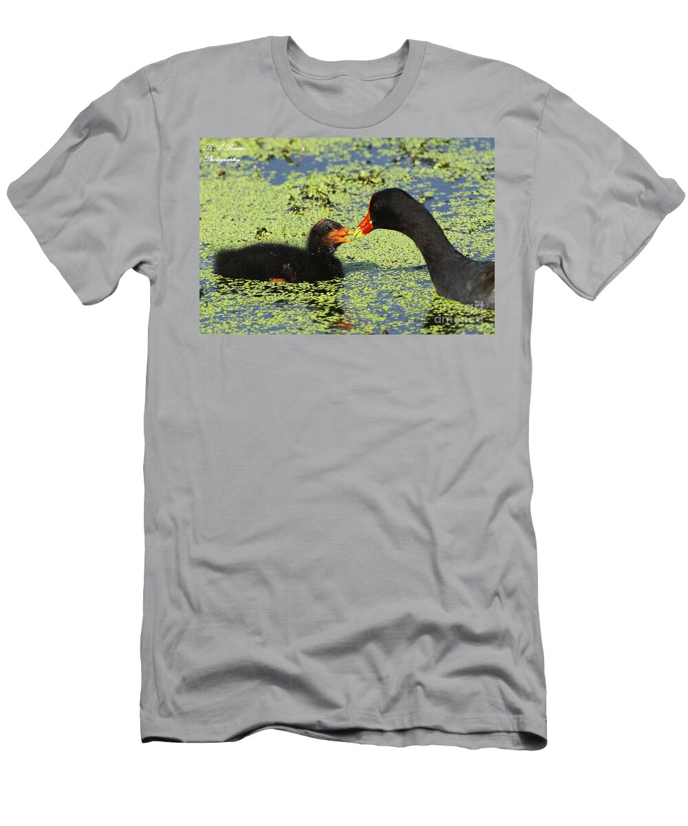 Common Gallinule T-Shirt featuring the photograph Mother common Gallinule feeding baby chick by Barbara Bowen