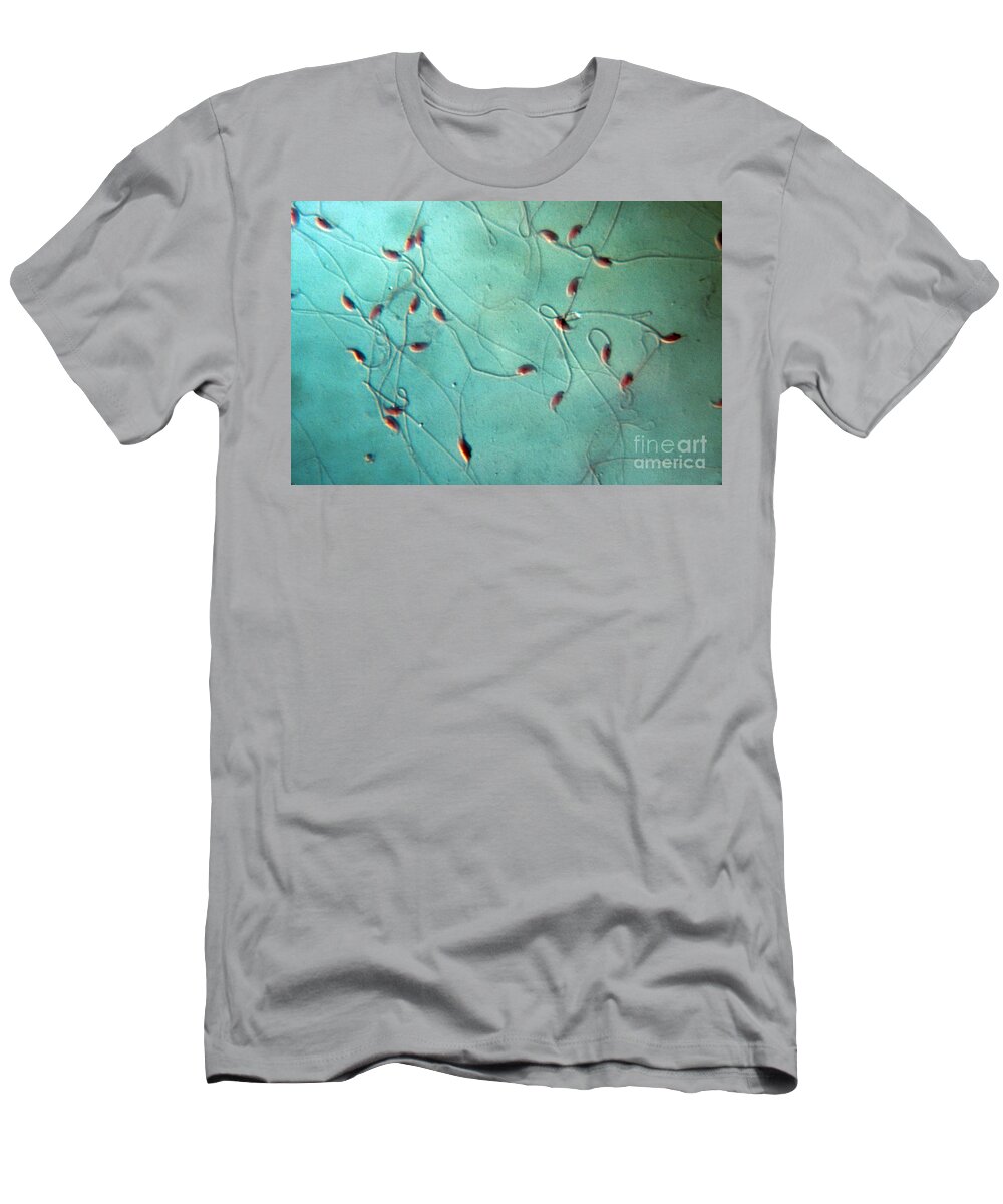 Light Microscope T-Shirt featuring the photograph Mouse Spermatozoa by Eric V. Grave
