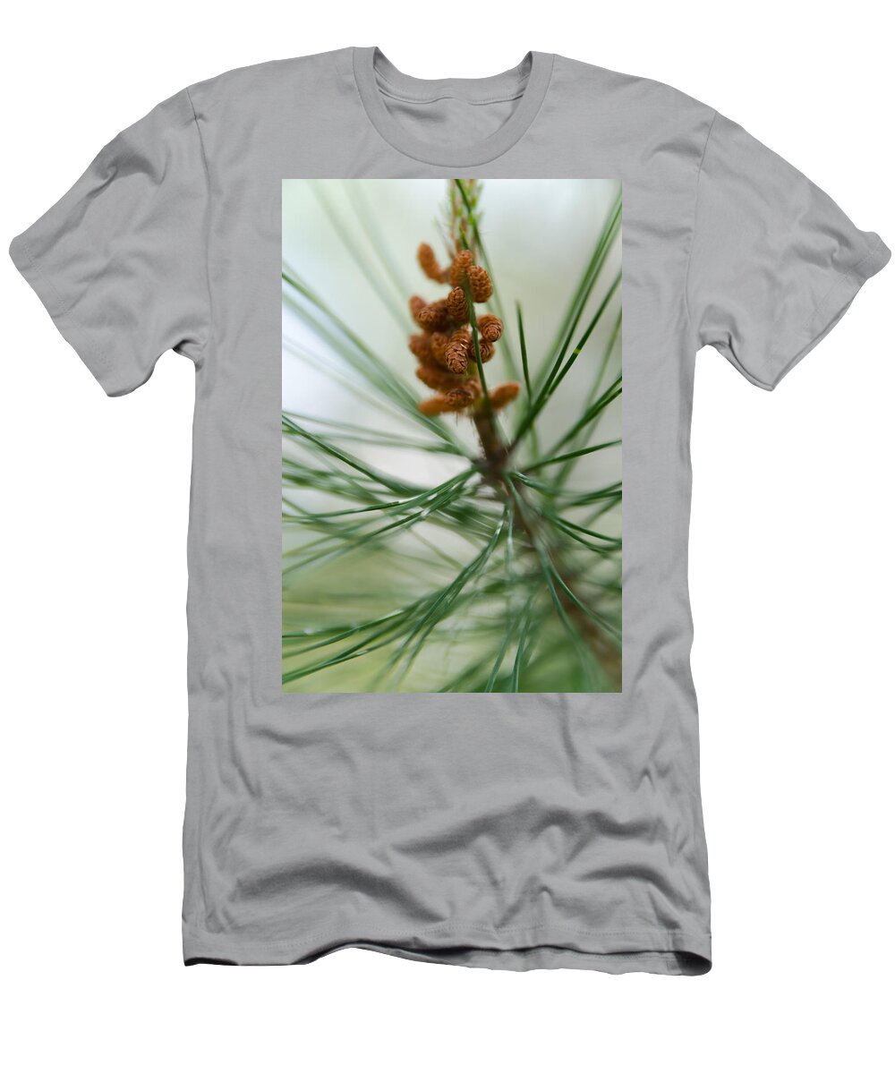 Forest T-Shirt featuring the photograph New pine cones by Michael Goyberg