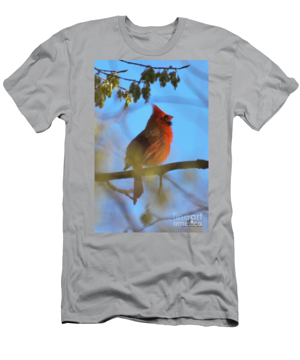 Bird T-Shirt featuring the photograph Northern Cardinal by Ronald Grogan