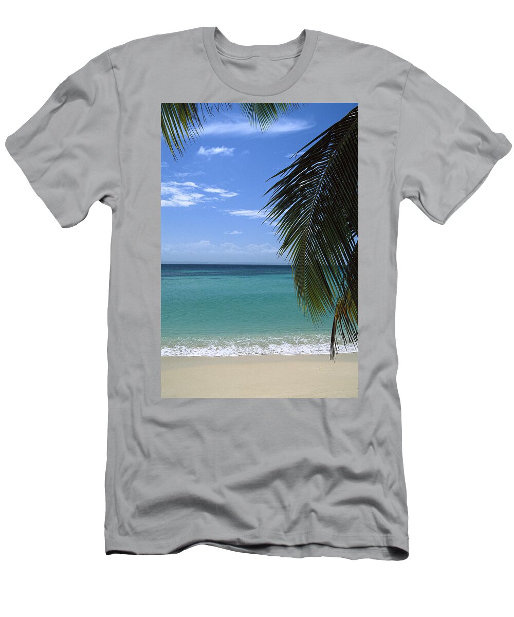 Mp T-Shirt featuring the photograph Palm Fronds Frame Bacardi Beach by Konrad Wothe