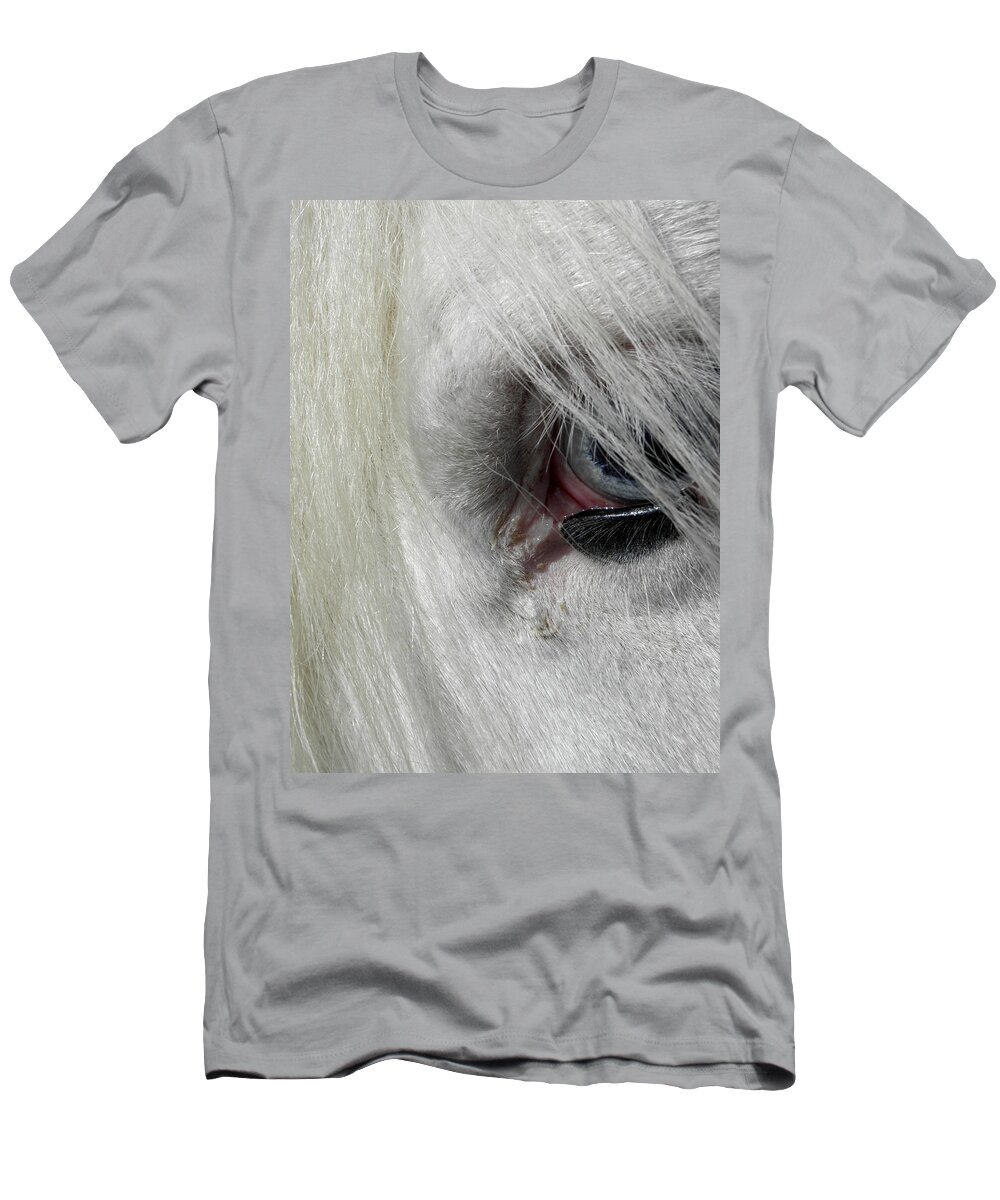 Gypsy Vanner Horse T-Shirt featuring the photograph Peaking Thru With Eyes So Blue by Kim Galluzzo