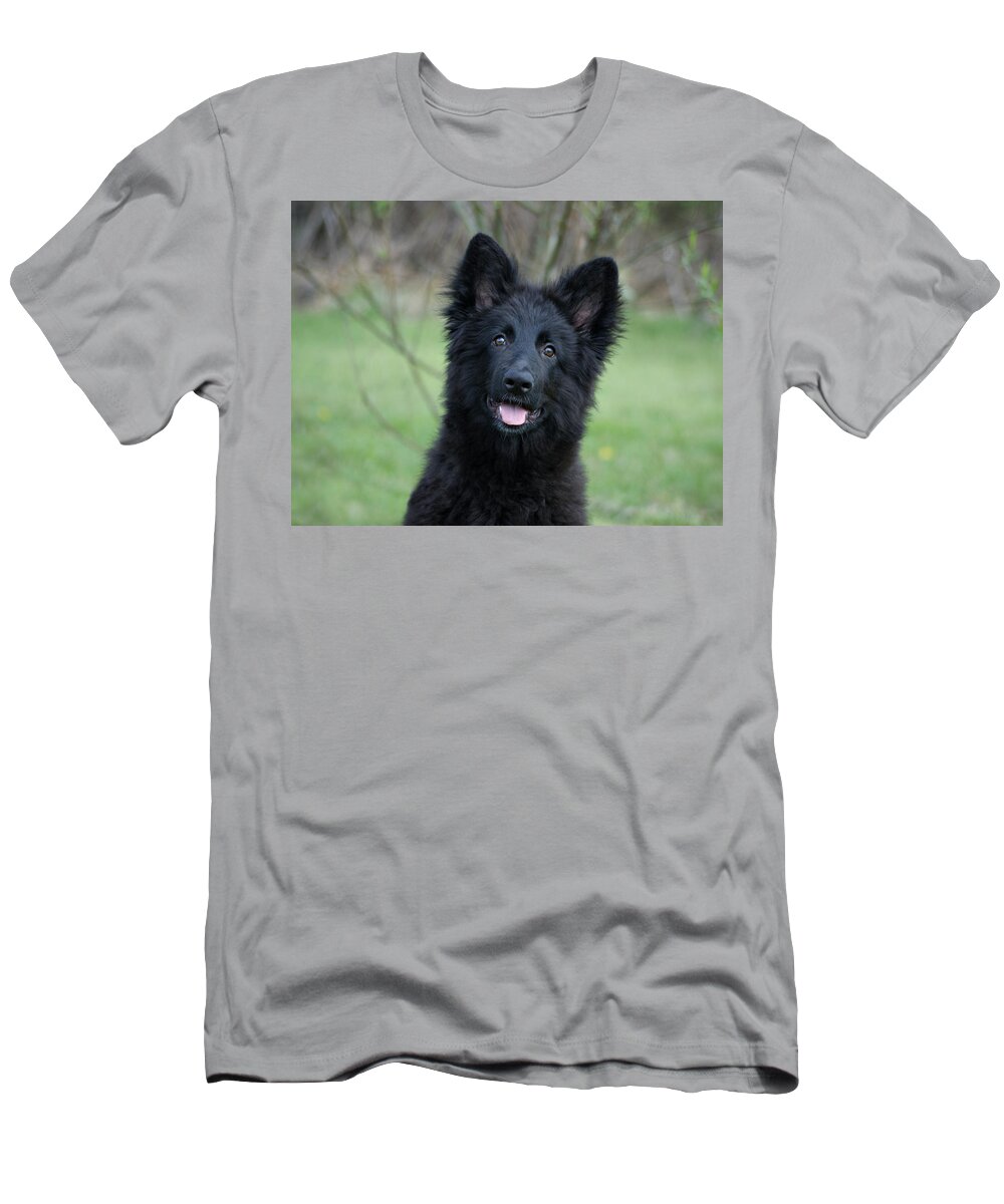 German Shepherd T-Shirt featuring the photograph Phoenix by Sandy Keeton