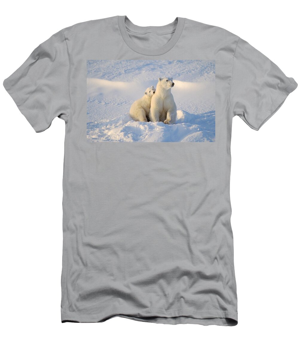 Winter T-Shirt featuring the photograph Polar Bear And Cub by John Pitcher