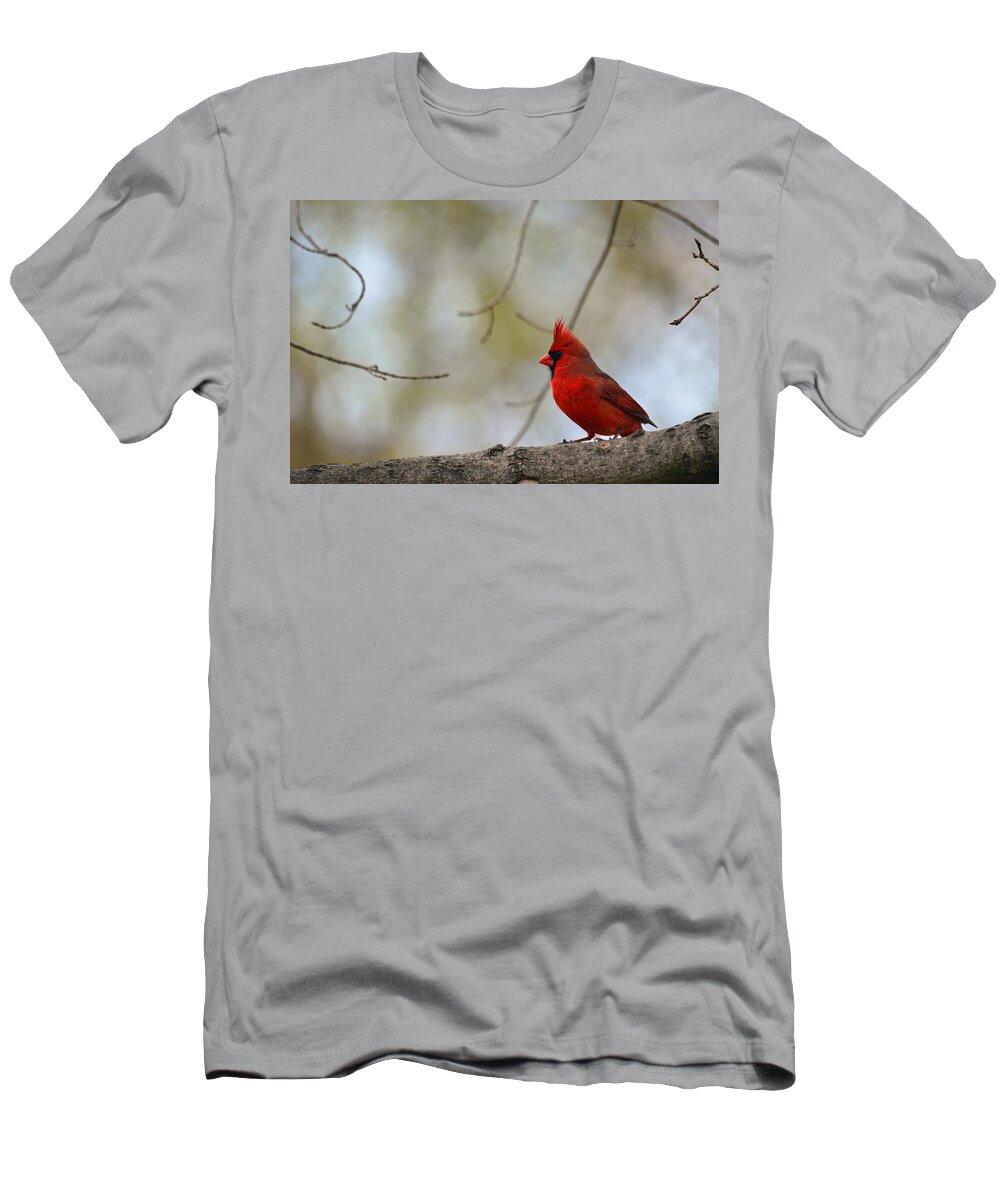 Cardinal T-Shirt featuring the photograph Pop of Color by Lori Tambakis