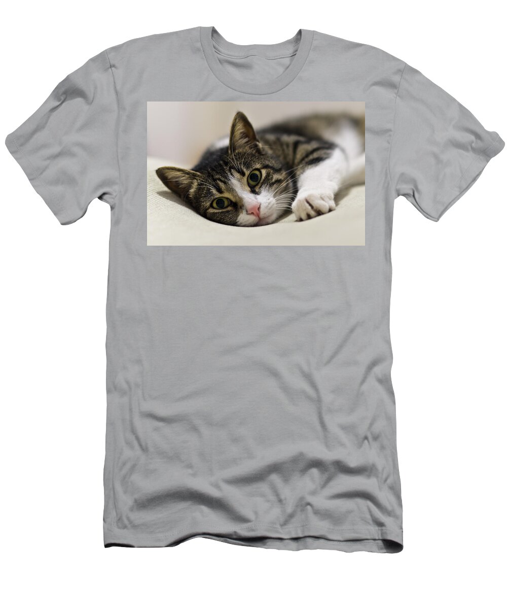 Brown T-Shirt featuring the photograph Portrait of a cat by Michael Goyberg