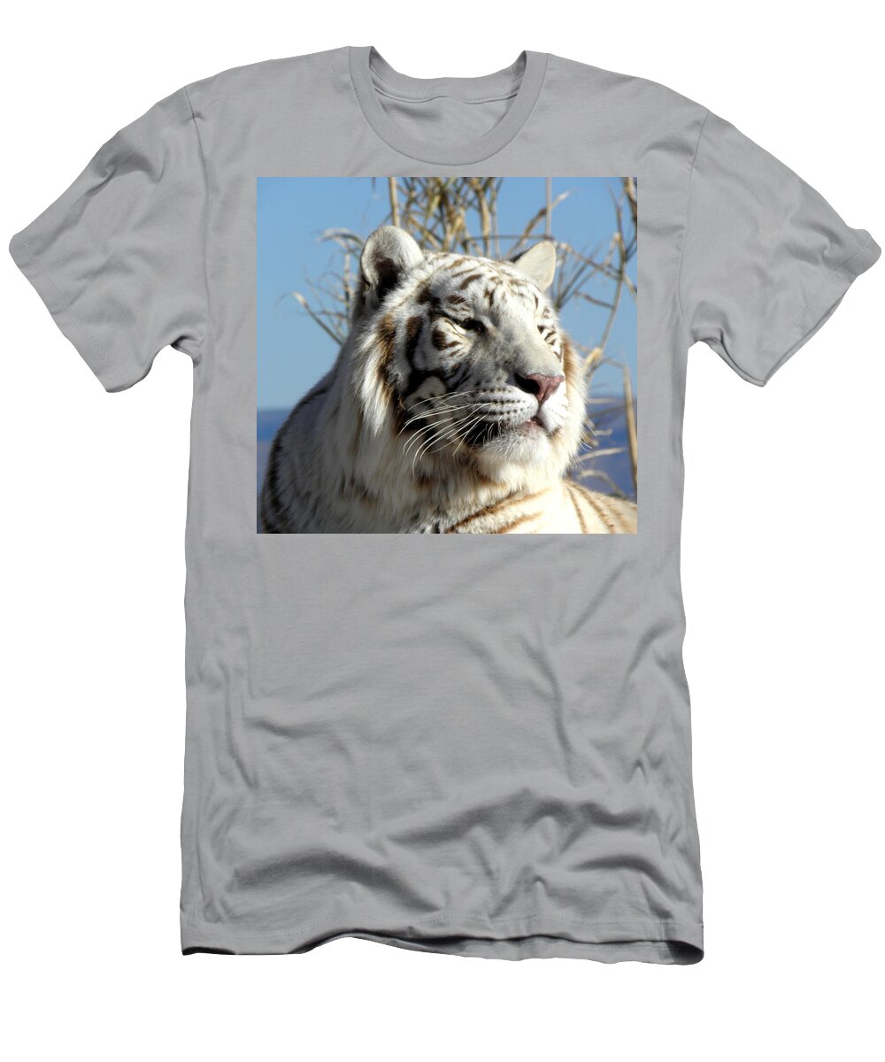 White Tiger T-Shirt featuring the photograph Profile Power by Kim Galluzzo