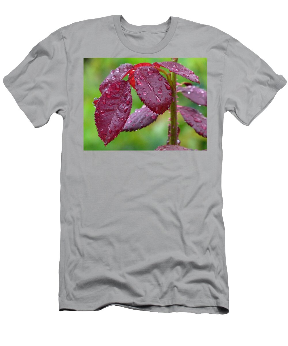 Leaf T-Shirt featuring the photograph Rain Soaked by Juergen Roth