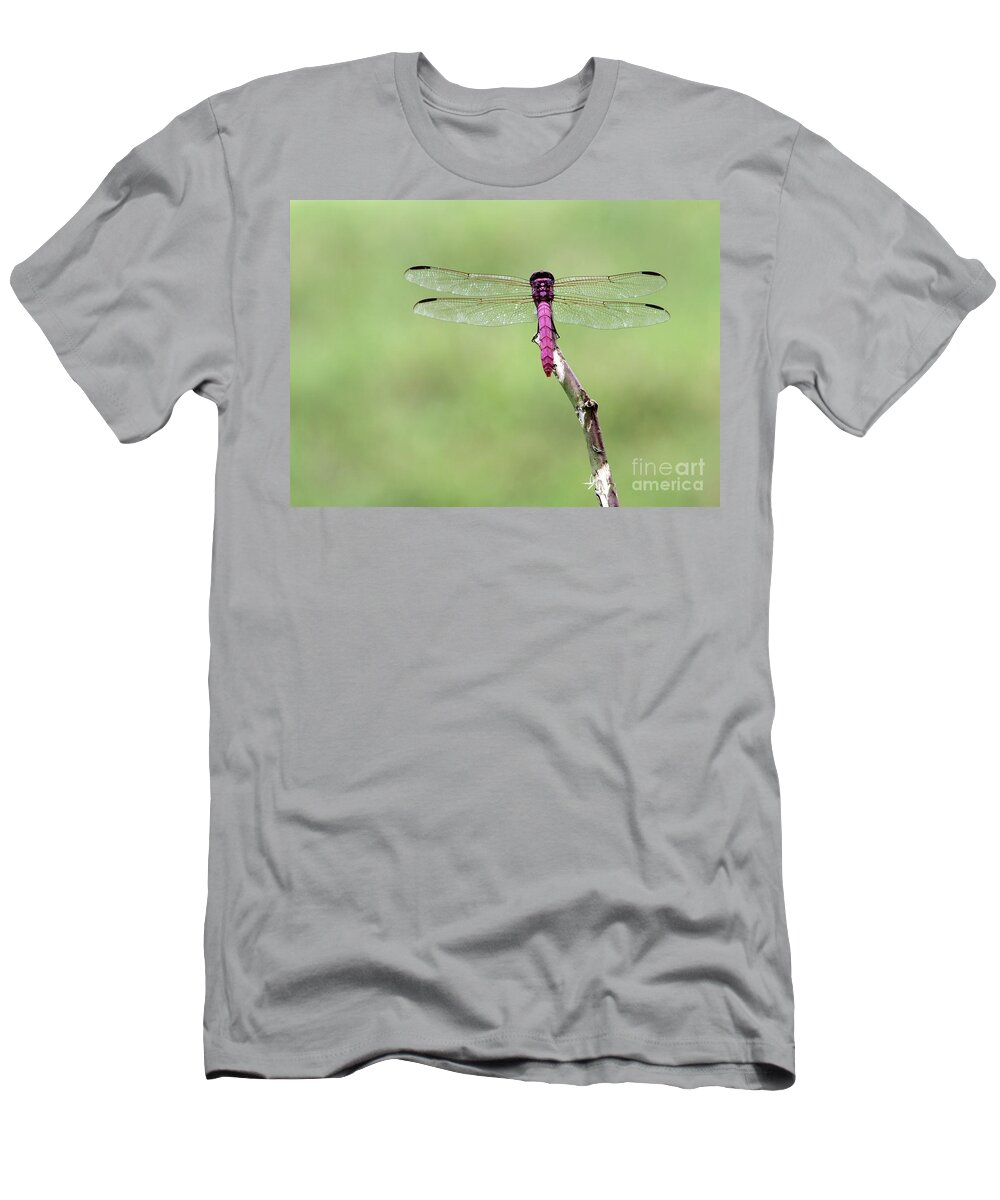 Dragonfly T-Shirt featuring the photograph Red Dragonfly Dancer by Sabrina L Ryan