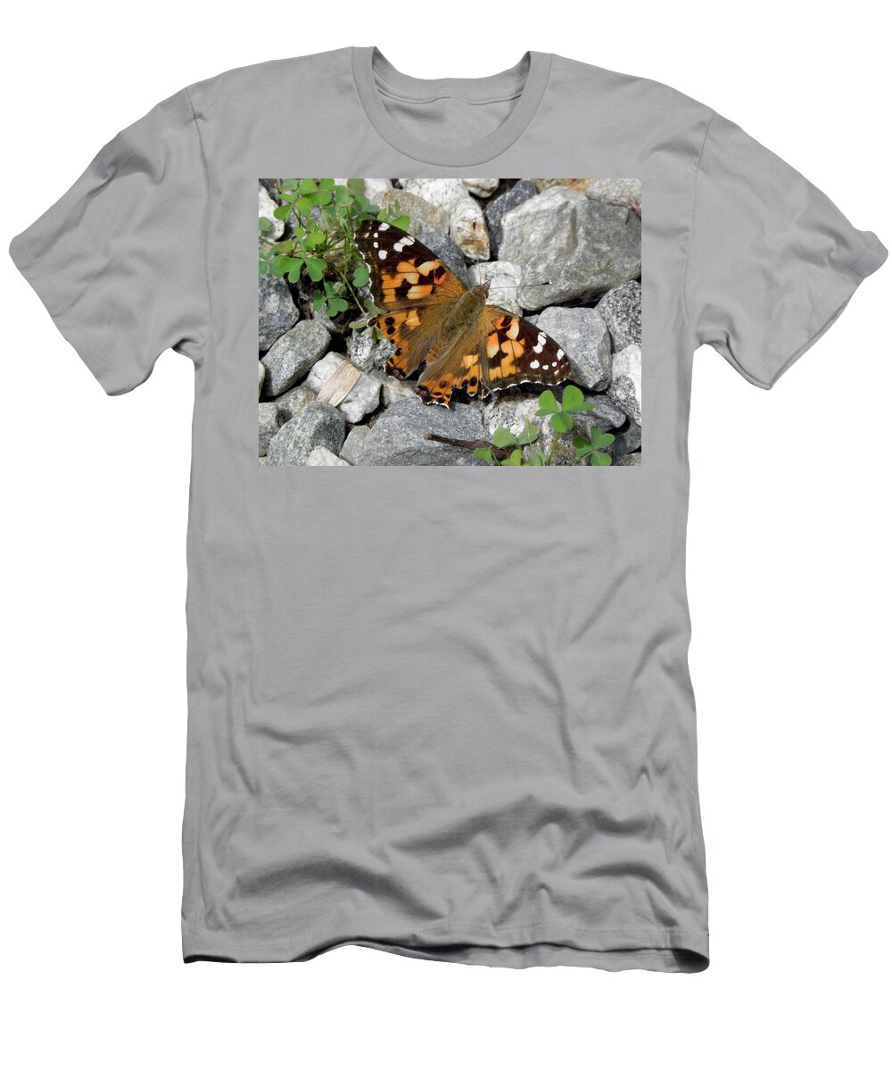 Butterfly T-Shirt featuring the photograph Resting On Rocky Clovers by Kim Galluzzo Wozniak