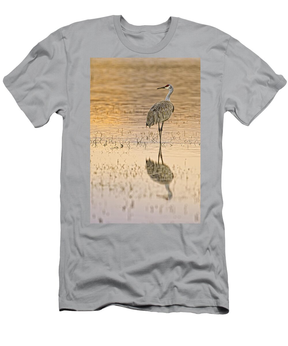 Sandhill T-Shirt featuring the photograph Sandhill Crane Strolling by Fred J Lord
