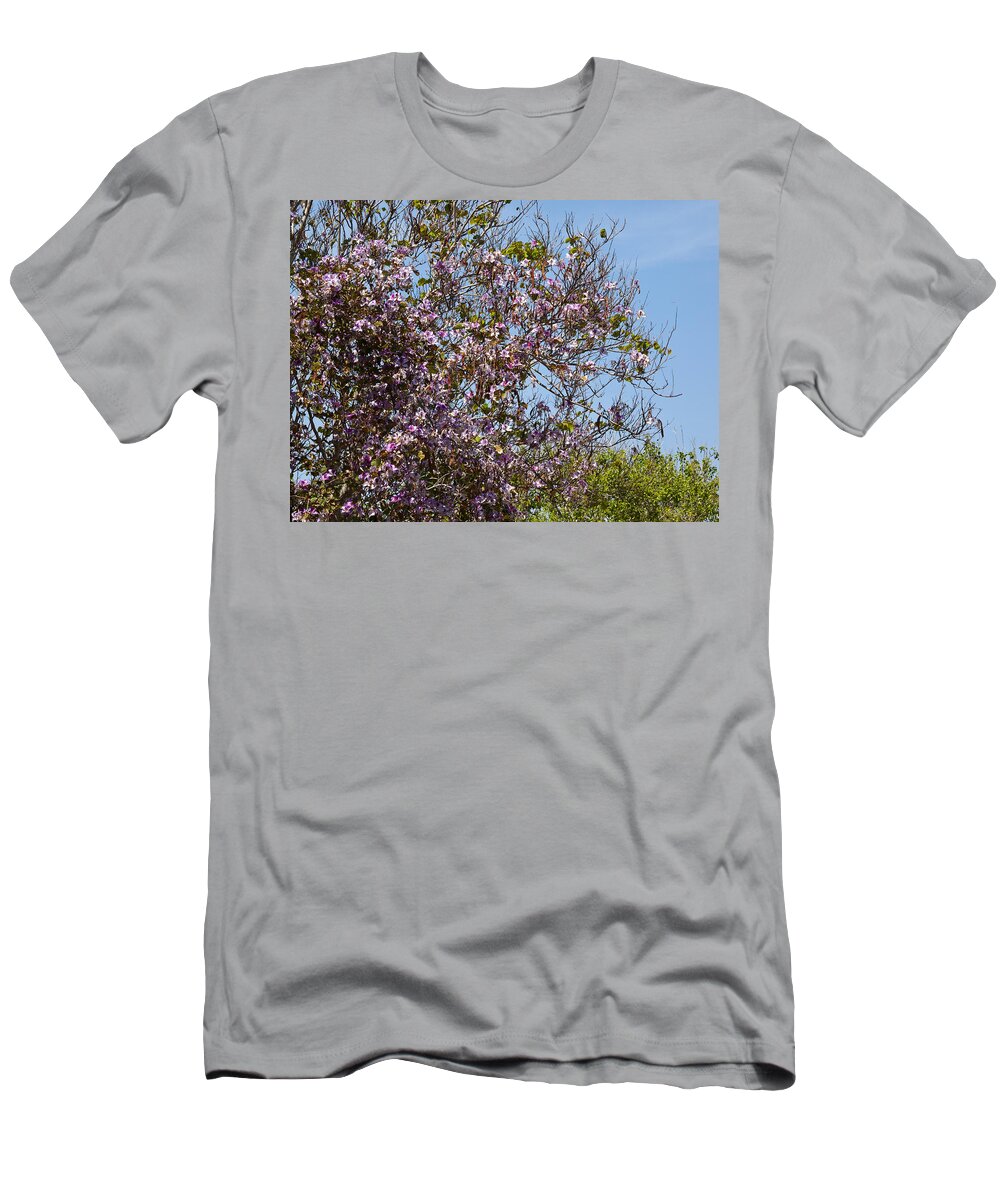 Saucer T-Shirt featuring the photograph Saucer Magnolia or Tulip Tree Magnolia x soulangeana by Allan Hughes